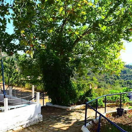 Rizos Veranda -